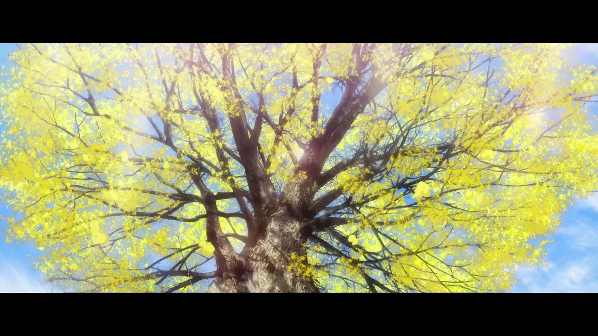 [Tsukyio Editing Resources] Jujutsu Kaisen 0 Raw Clips (131) (tsukyio.com).mp4